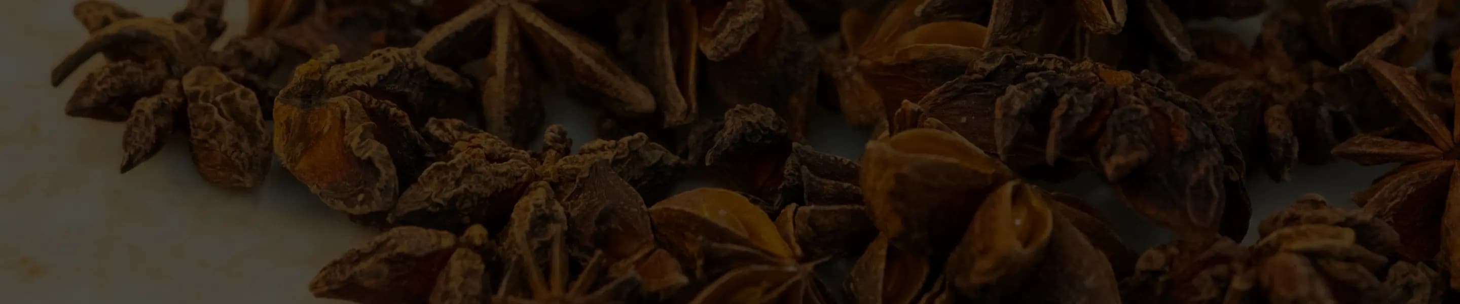 A panoramic image of different whole spices scattered naturally.