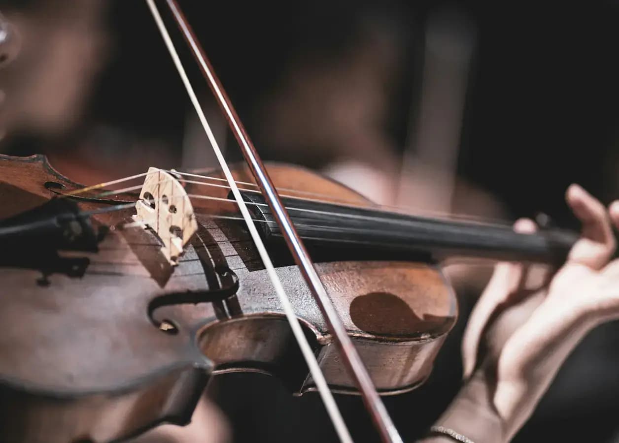 Musician playing the violin