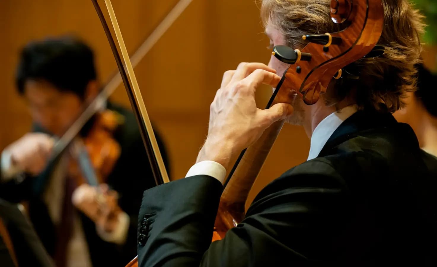 Musician playing classical music