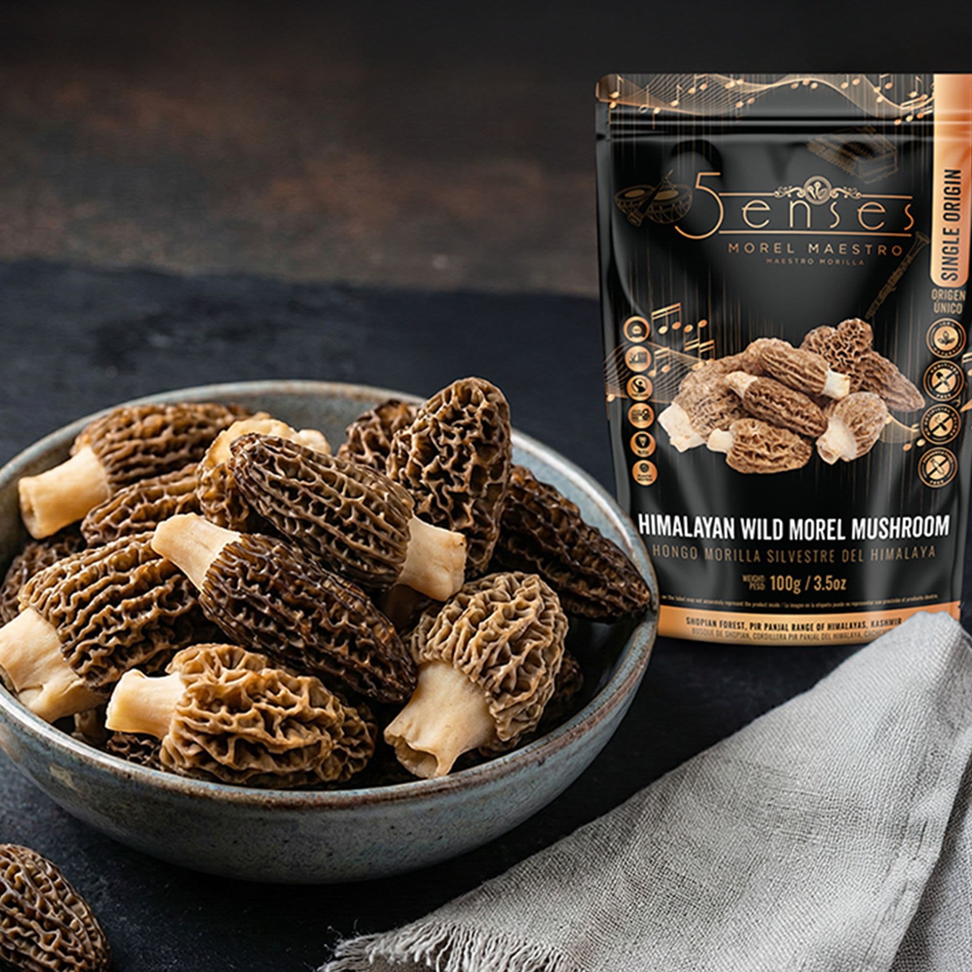 Shopian morels: forest knowledge from Kashmir’s Pir Panjal