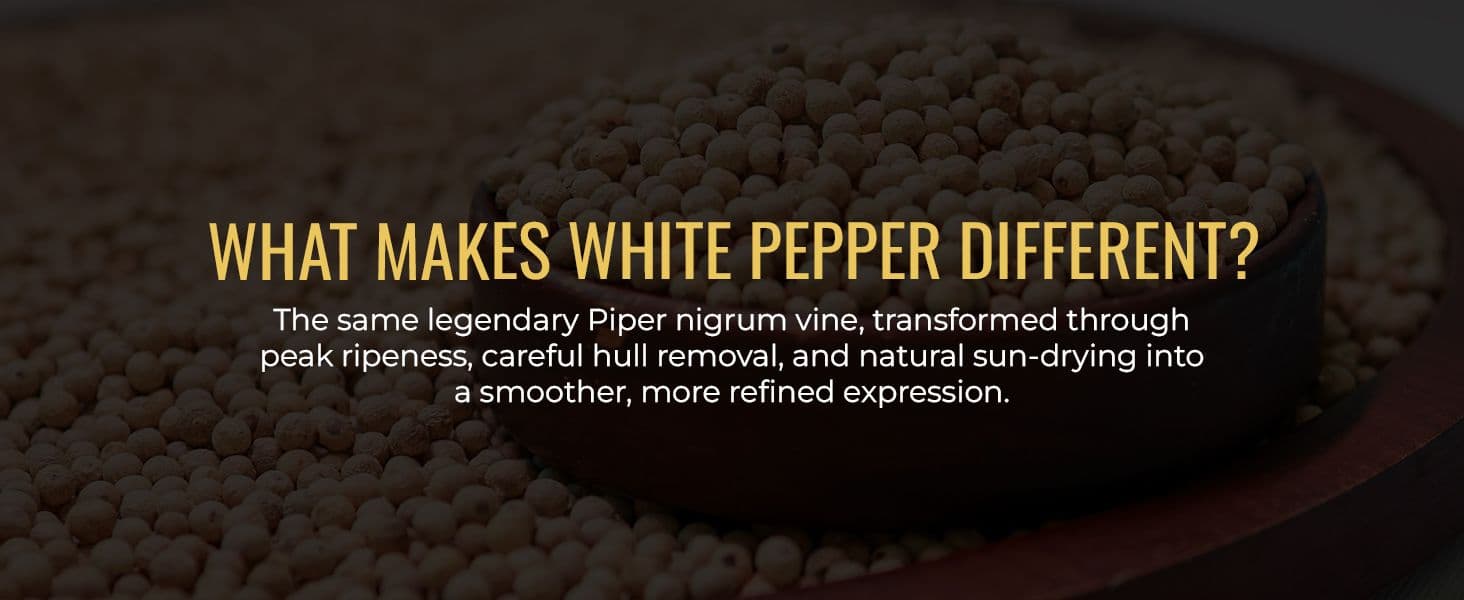 Malabar white pepper: a different expression of pepper’s birthplace