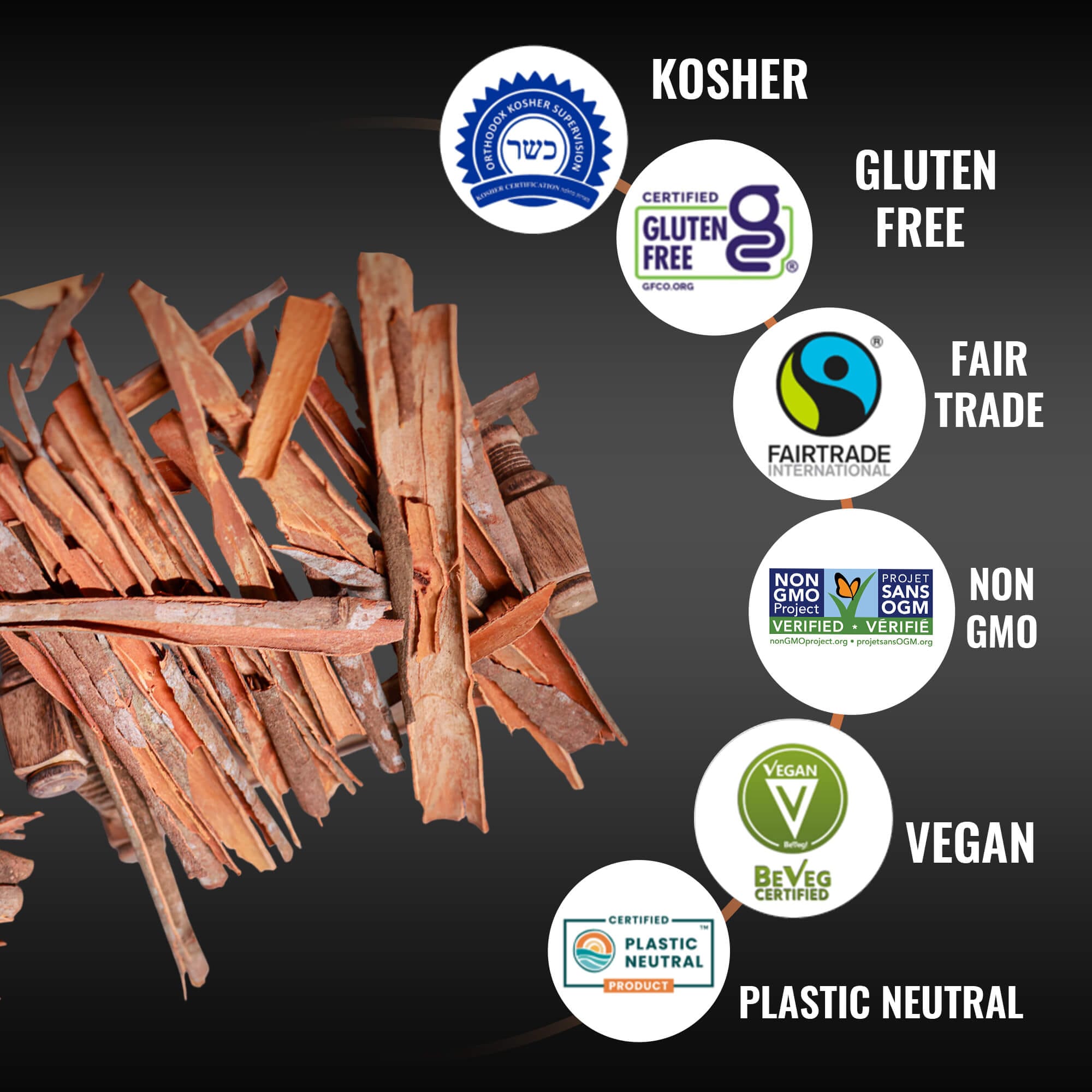 Wild Cinnamon Bark – Pure & Aromatic Spice | 5Senses