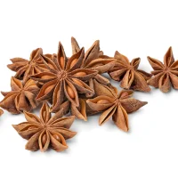 star-anise-1