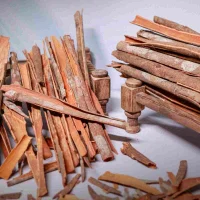 wild-cinnamon-1
